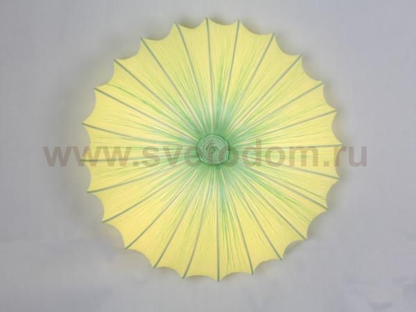 Светильник настенно-потолочный St luce SL351.022.05 SL351