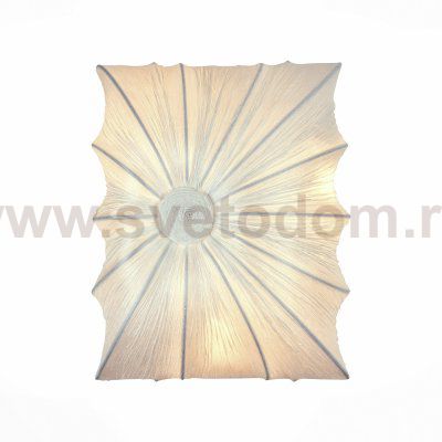 Светильник настенный бра St luce SL356.551.03 TELA