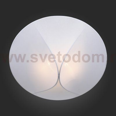 Светильник потолочный St luce SL360.552.02 TONICO