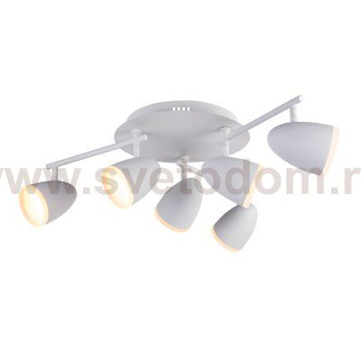 Светильник настенно-потолочный St luce SL387.501.06 PADIVIO