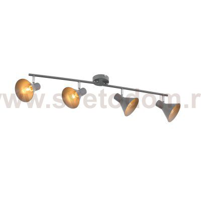 Светильник поворотный спот St luce SL403.701.04 GRISPO