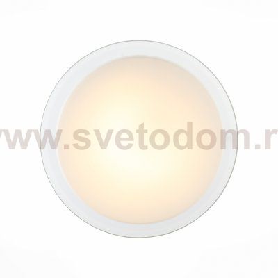 Светильник настенно-потолочный St luce SL466.512.01 BOTONE