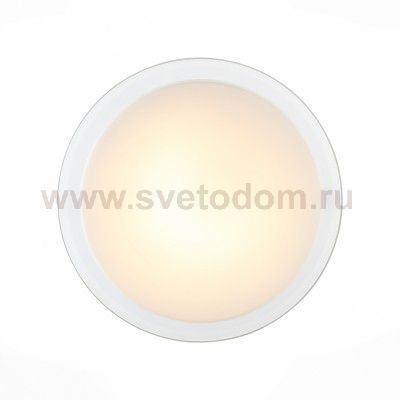 Светильник настенно-потолочный St luce SL466.512.01 BOTONE