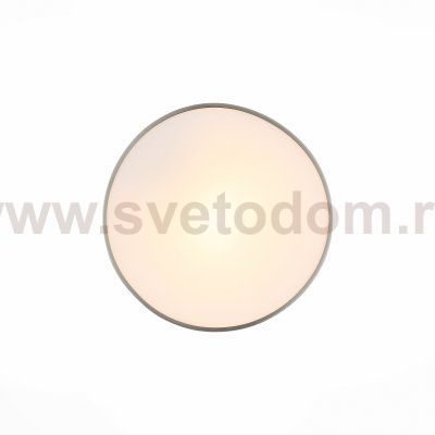 Светильник настенно-потолочный St luce SL468.502.01 BAGNO