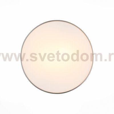Светильник настенно-потолочный St luce SL468.502.02 BAGNO