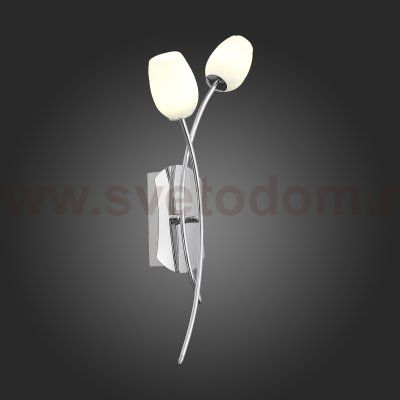 Светильник настенный бра St luce SL478.101.02 LUNA