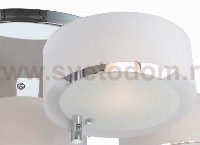 Люстра потолочная St luce SL483.502.09 FORESTA