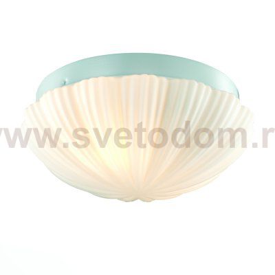 Светильник настенно-потолочный St luce SL495.502.02 BAGNO