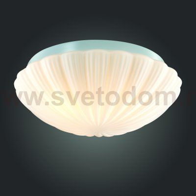 Светильник настенно-потолочный St luce SL495.502.03 BAGNO