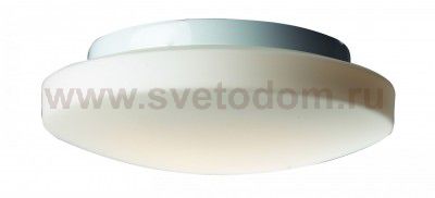 Светильник настенно-потолочный St luce SL500.552.03 Bagno