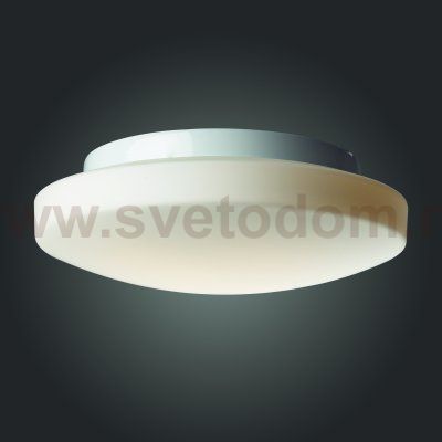 Светильник настенно-потолочный St luce SL500.502.02 Bagno