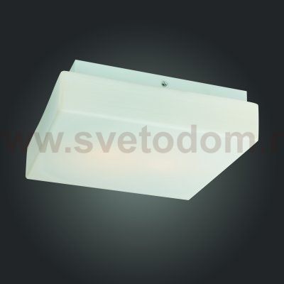 Светильник настенно-потолочный St luce SL503.502.02 BAGNO