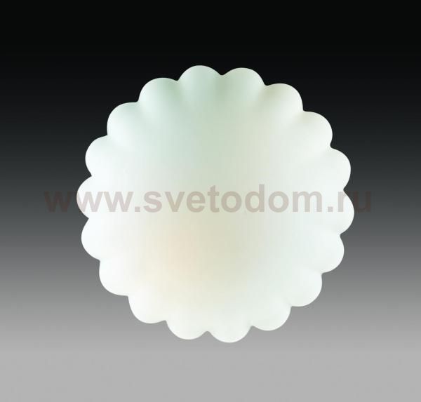 Светильник настенно-потолочный St luce SL505.502.02