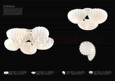 Люстра потолочная St luce SL534.502.05 CONGLIA