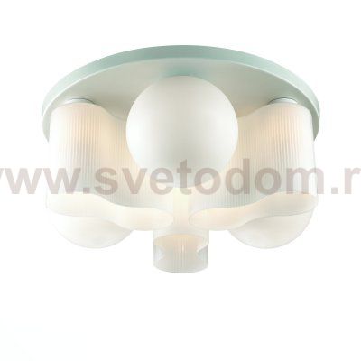 Люстра потолочная St luce SL539.502.09 SCHIUMA