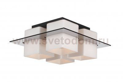 Люстра потолочная St luce SL540.502.04 Solido