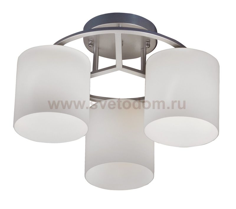 Светильник потолочный St luce SL542.502.03