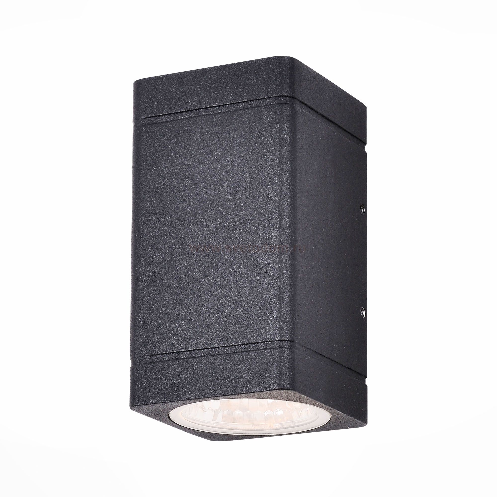 Светильник уличный настенный St luce SL563.401.02 COCTOBUS