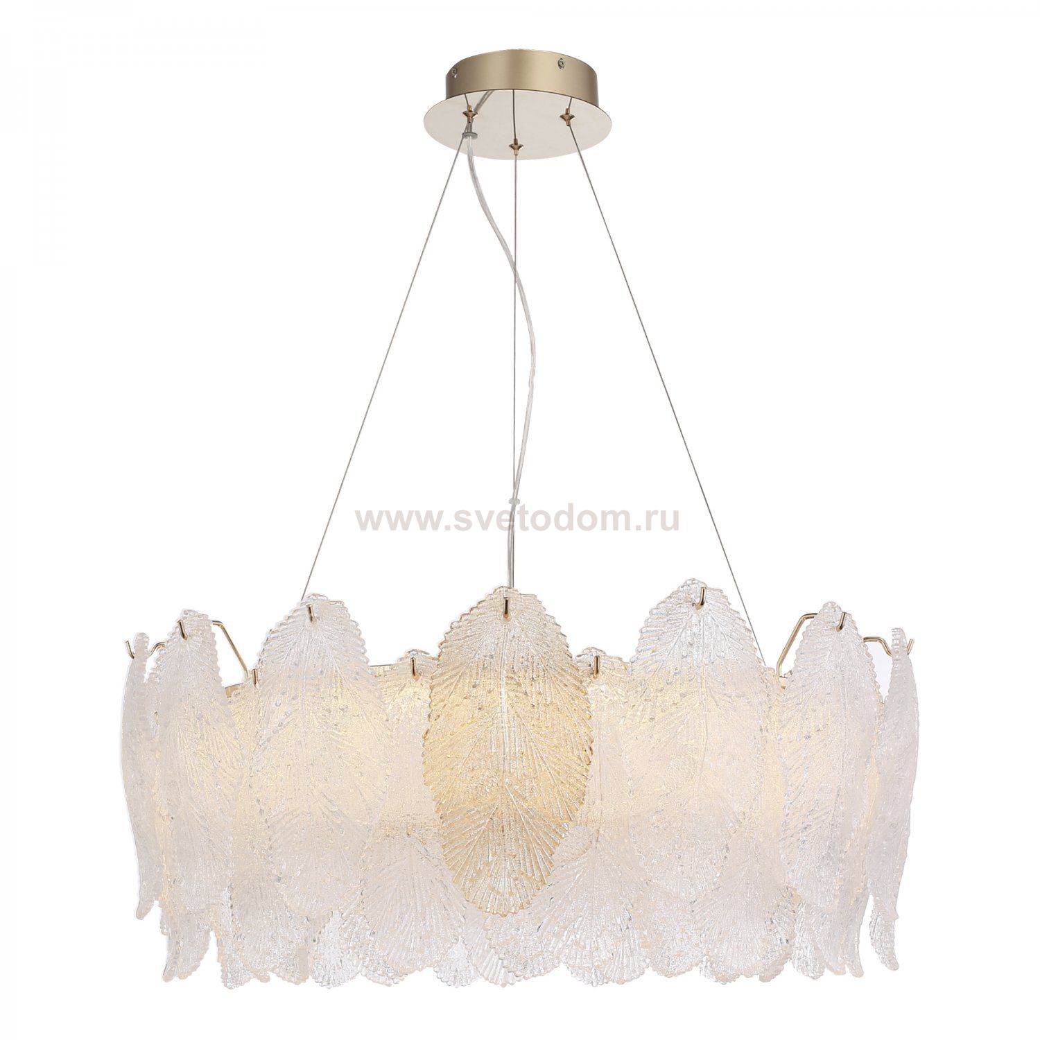 Светильник  светодиодный St luce SL6135.213.01 LIGHTSOME