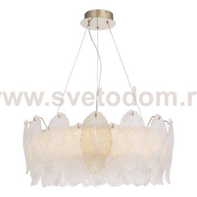 Светильник  светодиодный St luce SL6135.213.01 LIGHTSOME
