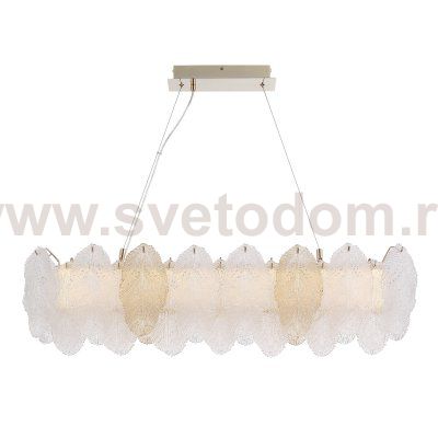 Светильник  светодиодный St luce SL6135.233.01 LIGHTSOME