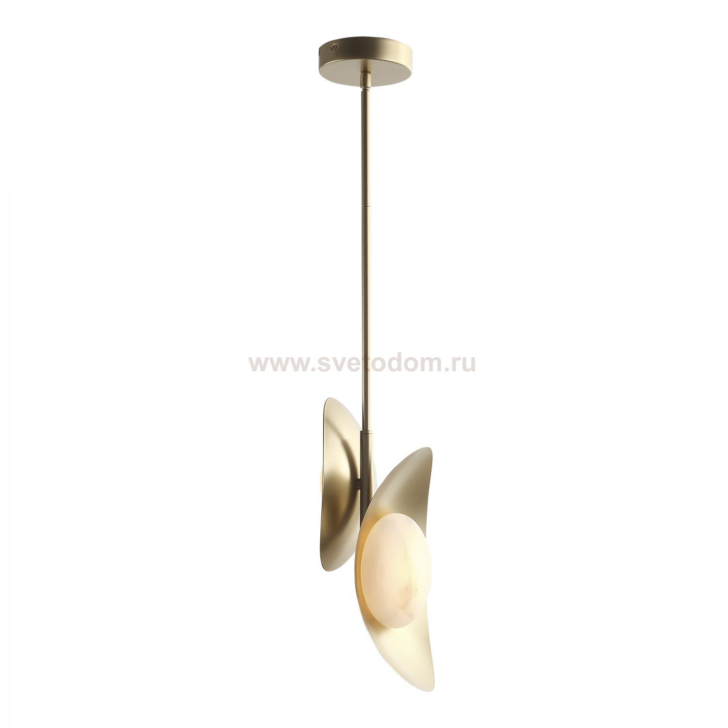 Светильник  светодиодный St luce SL6229.203.02 PEARL