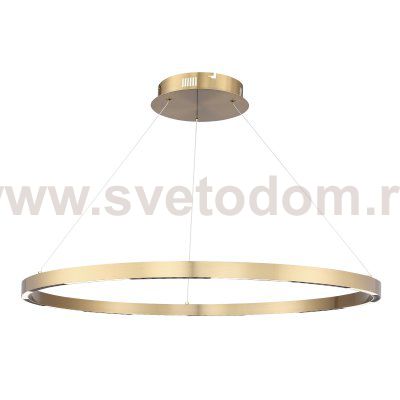Светильник  светодиодный St luce SL6238.343.01 PARILLA