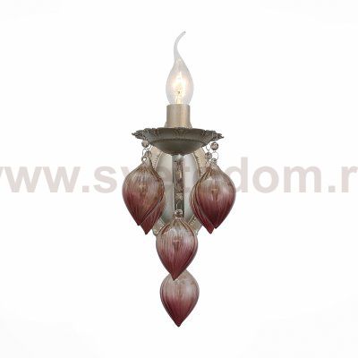 Светильник настенный бра St luce SL659.201.01 FRUTTI