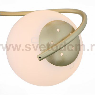 Люстра потолочная St luce SL711.202.04 DELICATA