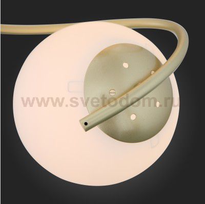 Люстра потолочная St luce SL711.202.04 DELICATA