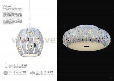 Светильник настенный бра St luce SL793.501.01 CALMA