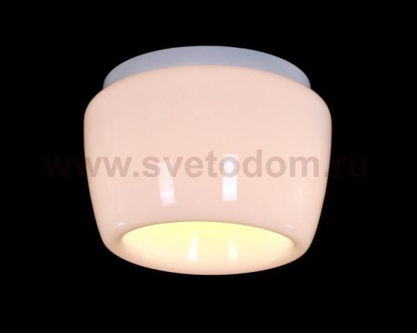 Светильник потолочный St luce SL876.502.01 SL876