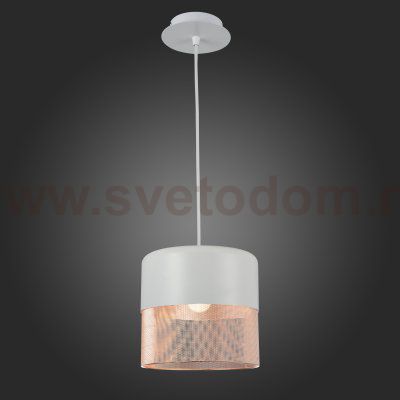 Подвесной светильник St luce SL976.443.01 TONDATTO