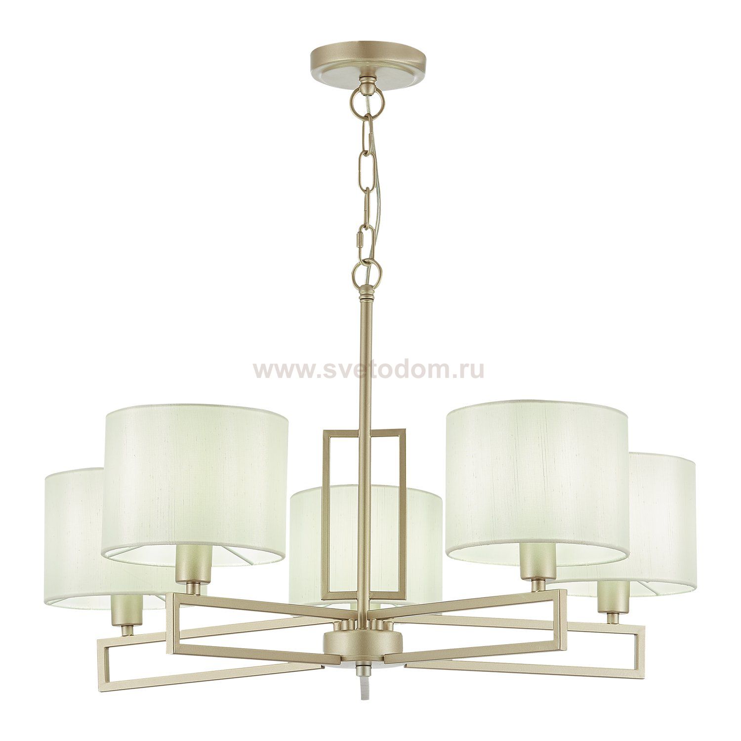 Люстра подвесная St luce SLE105803-05 DANAE