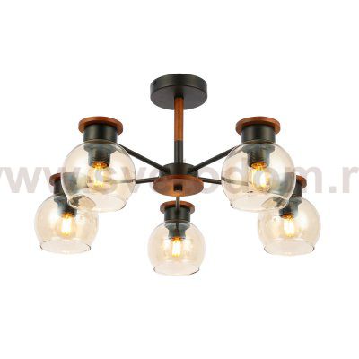 Светильник потолочный St luce SLE108102-05 RASCO