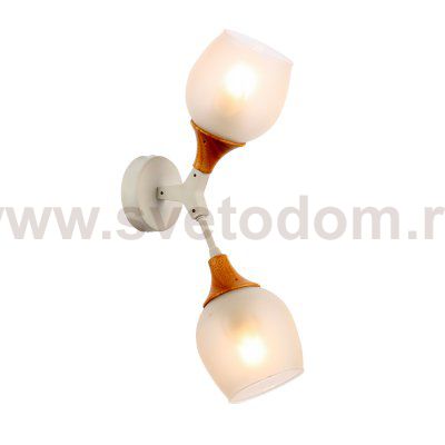 Светильник настенный St luce SLE113501-02 CIOTOLLA