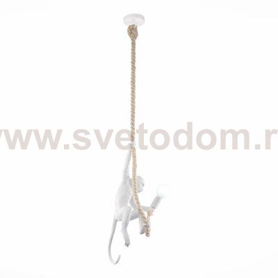 Светильник подвесной St luce SLE115103-01 TENATO