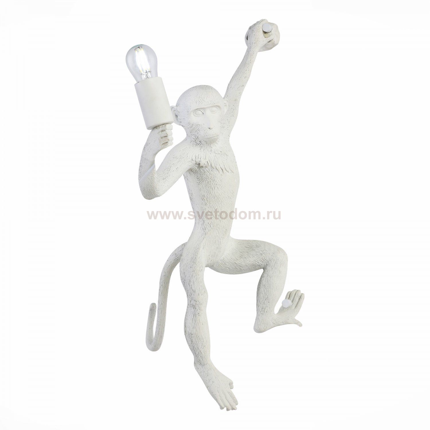 Светильник настенный St luce SLE115111-01 TENATO