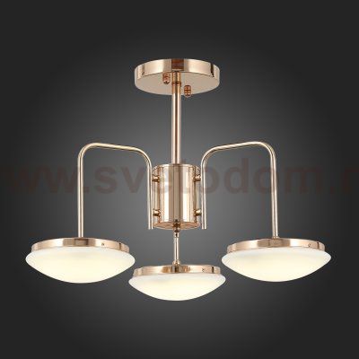 Люстра потолочная St luce SLE120.202.03 PRATICO