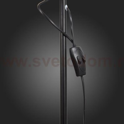 Торшер St luce SLE120.405.02 PRATICO