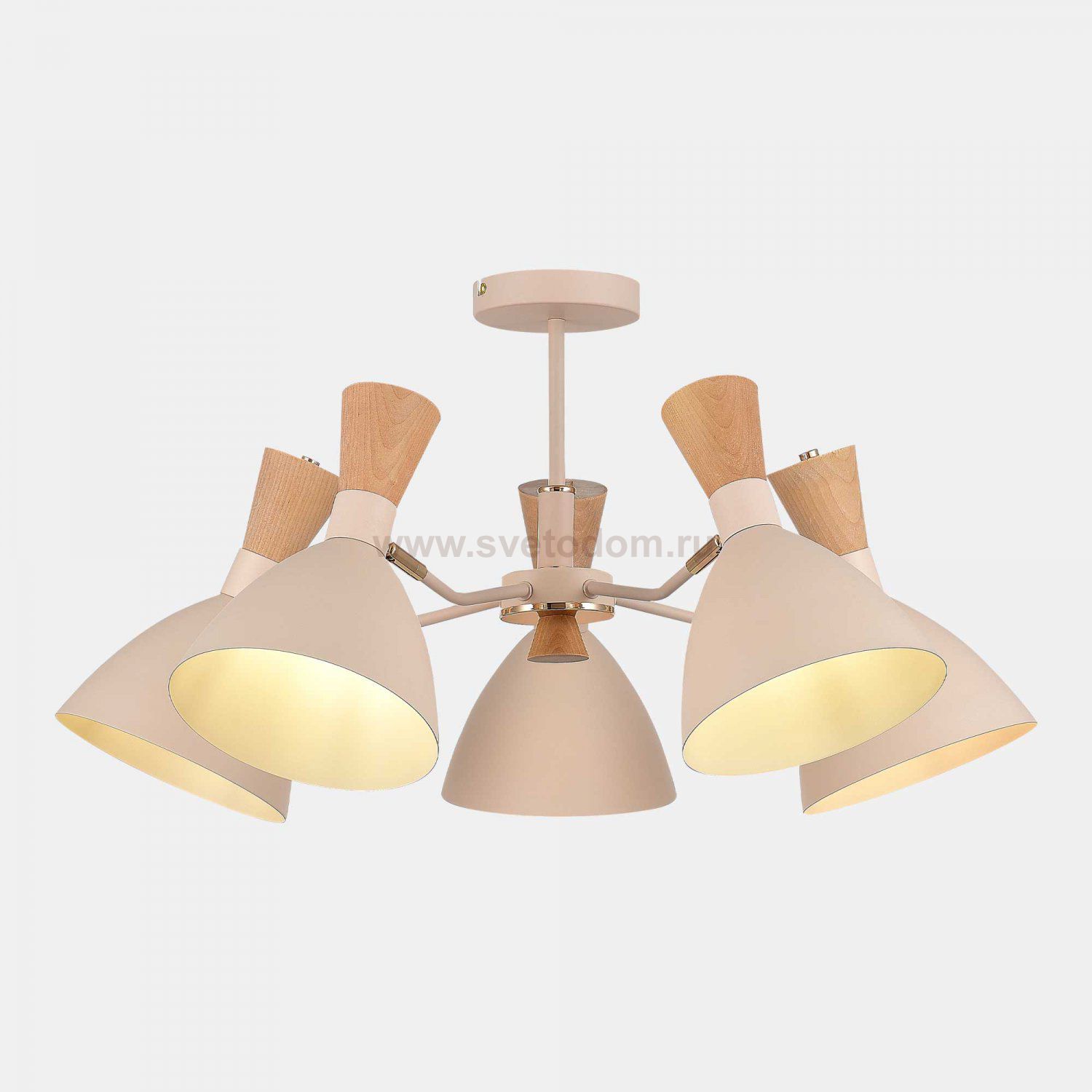 Светильник  с лампой накаливания St luce SLE1256-502-05 VISTA