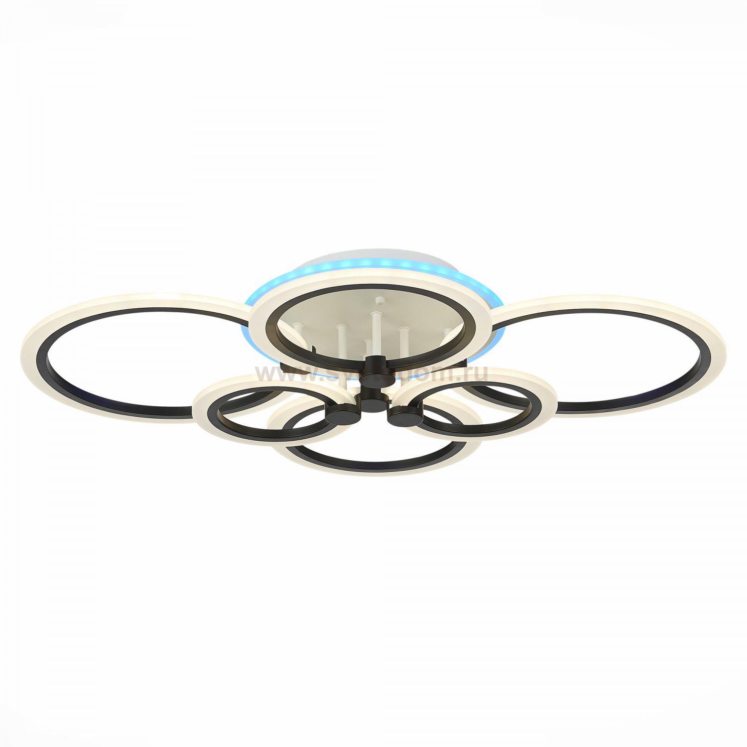 Светильник потолочный St luce SLE500542-06RGB CERINA