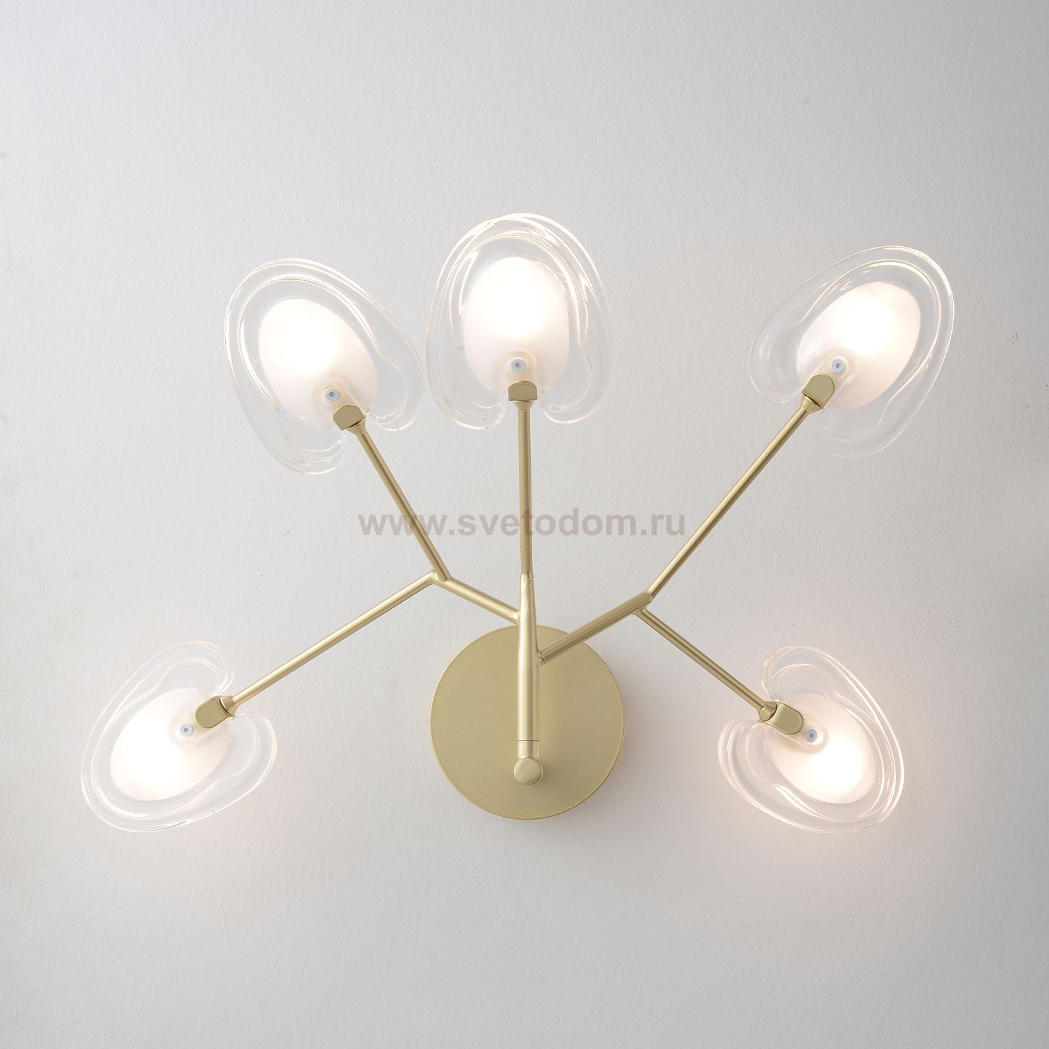 Светильник настенный бра Crystallux SOLE AP5 GOLD SOLE