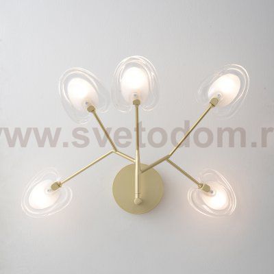 Светильник настенный бра Crystallux SOLE AP5 GOLD SOLE