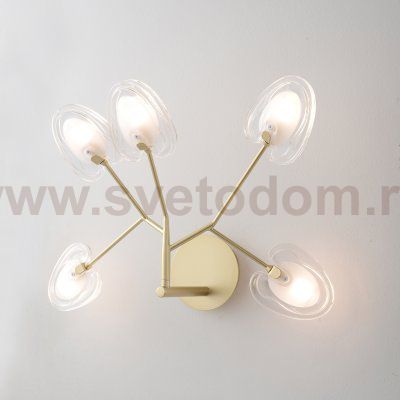 Светильник настенный бра Crystallux SOLE AP5 GOLD SOLE
