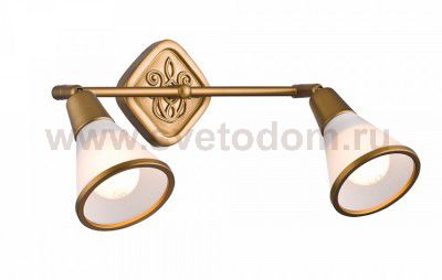 Спот Maytoni SP008-CW-02-G Luther