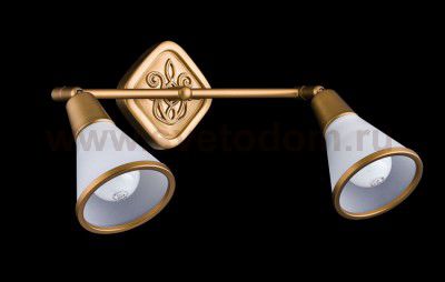 Спот Maytoni SP008-CW-02-G Luther