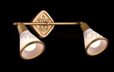 Спот Maytoni SP008-CW-02-G Luther