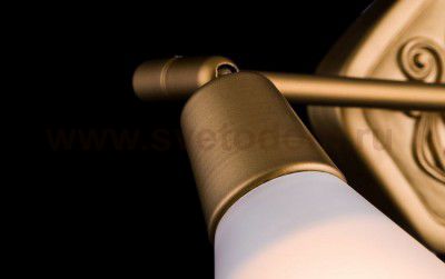 Спот Maytoni SP008-CW-02-G Luther