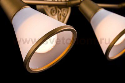 Светильник поворотный спот Maytoni SP008-CW-03-G Luther